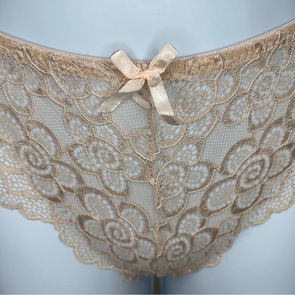 Nude Beige Lace Cheeky Underwear Small Sophie B NWOT Stretch Breathable Glam - Picture 2 of 8